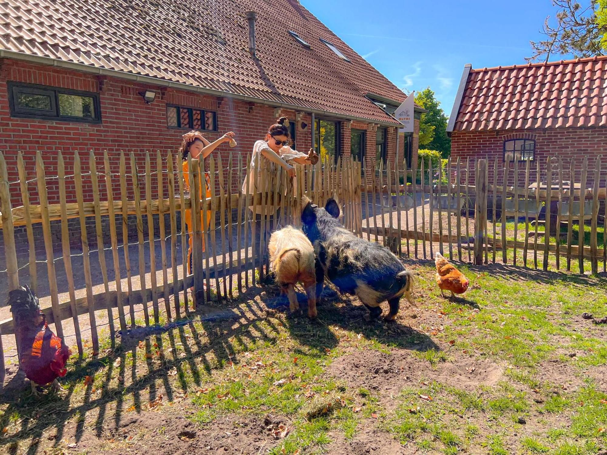 Gastenverblijf In Boerderij In Oost-Groningen Wedde 外观 照片